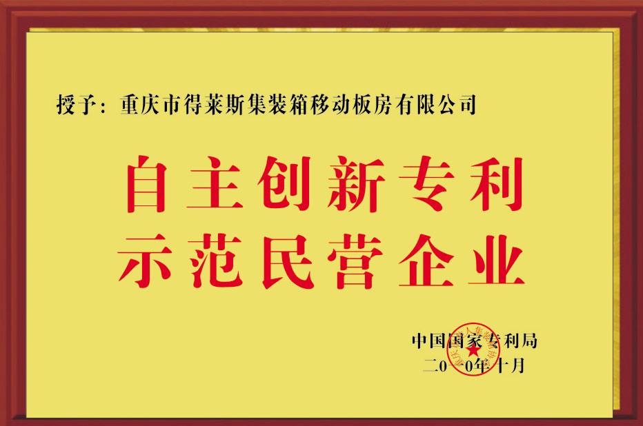 自主創(chuàng)新專利示范民營企業(yè)